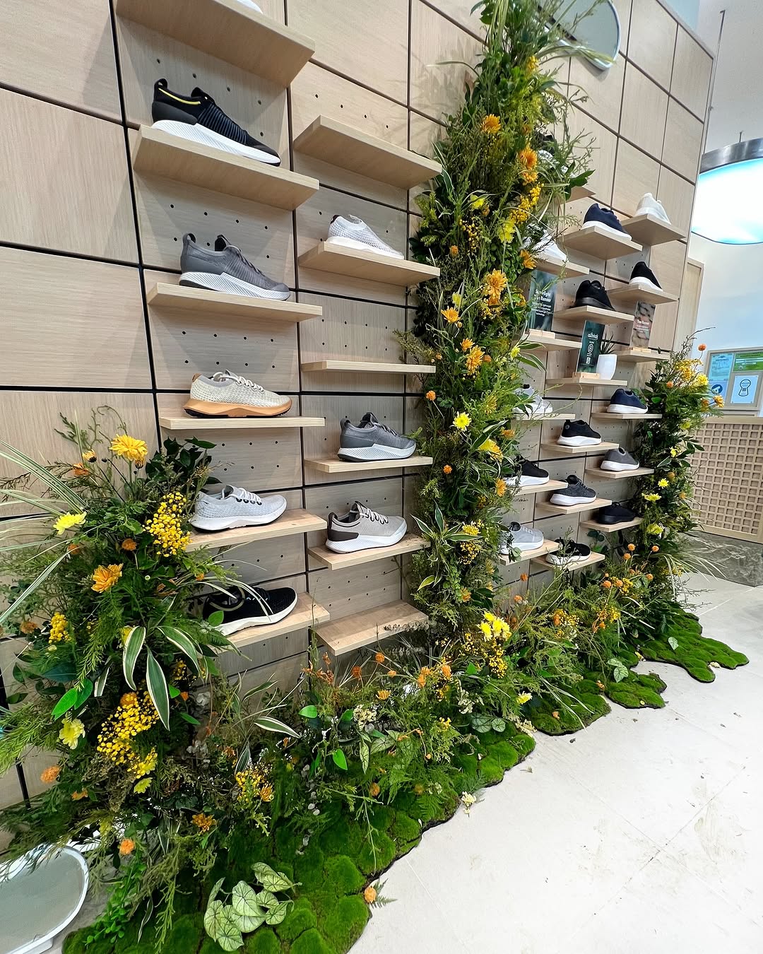 Studio Hábil botanical retail installation — plants integrated into display